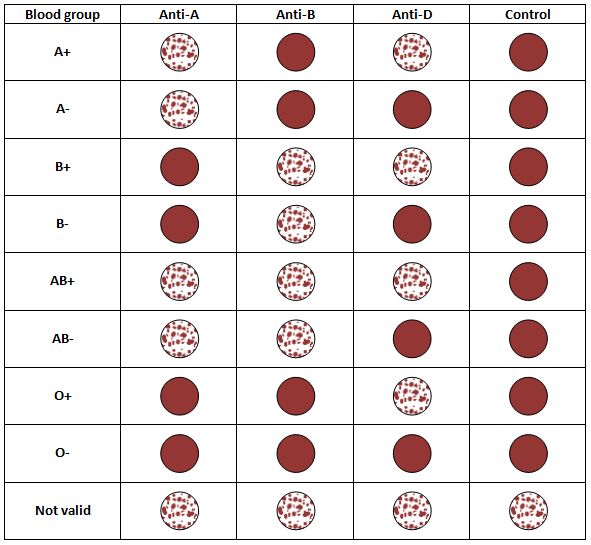 Blood Group Chart